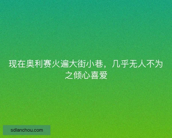 现在奥利赛火遍大街小巷，几乎无人不为之倾心喜爱