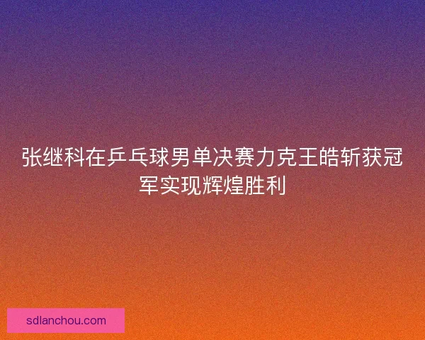 张继科在乒乓球男单决赛力克王皓斩获冠军实现辉煌胜利
